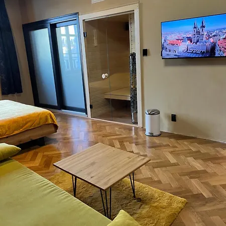Lägenhet Wenceslas Square 150 M2 Prag